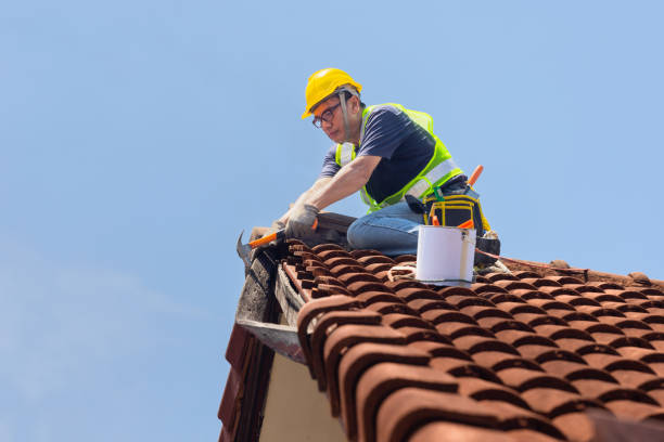 Best Roof Moss and Algae Removal  in Reno, OH